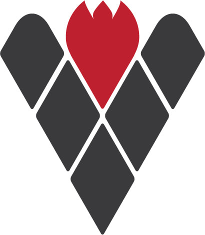 Vulcan Risk Solutions